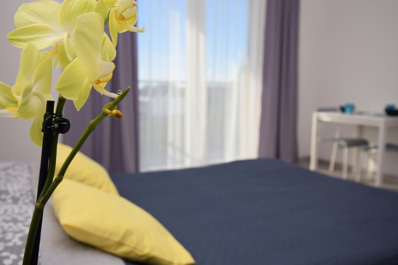 Appartement Laba à Jastrzębia Góra Extérieur photo