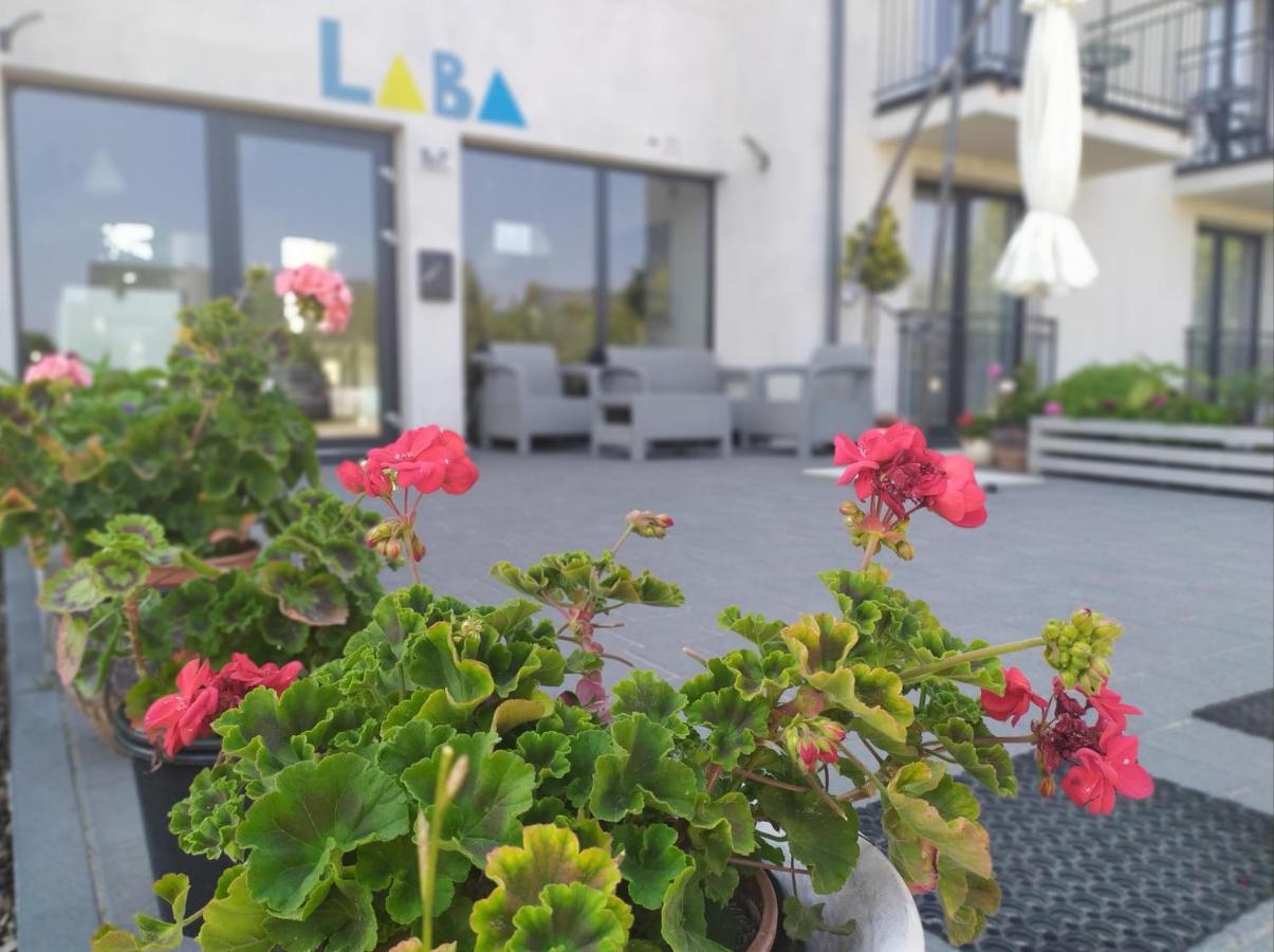 Appartement Laba à Jastrzębia Góra Extérieur photo