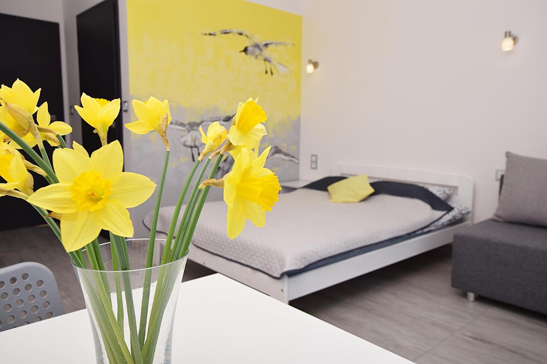 Appartement Laba à Jastrzębia Góra Extérieur photo